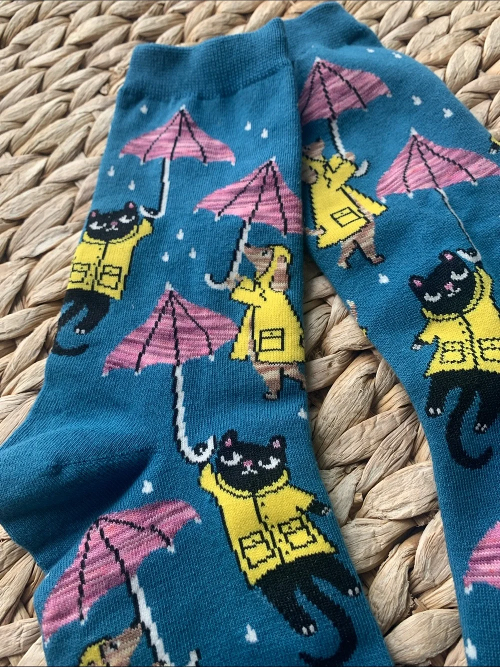Nwot Raining Cats and Dogs